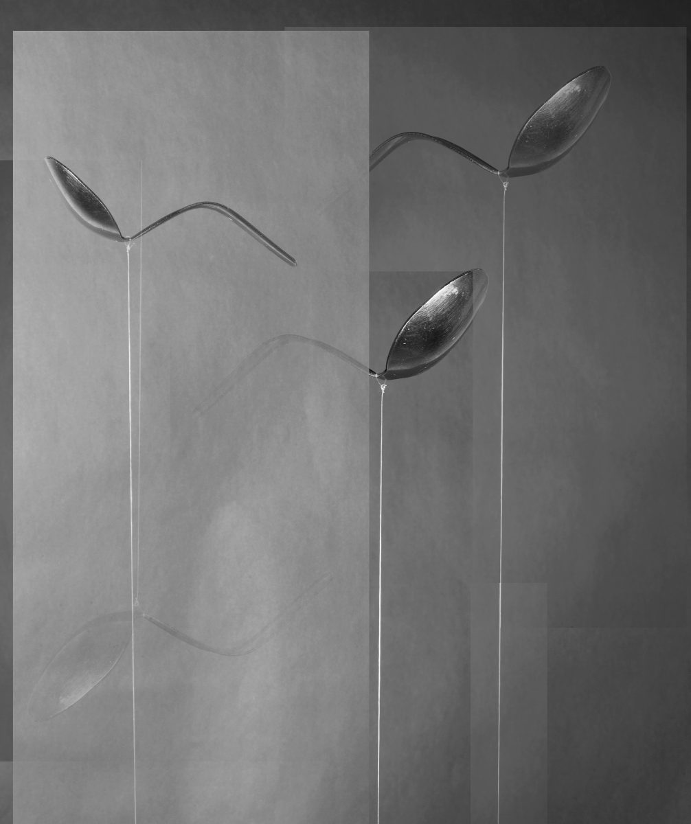 Other Ways of Knowing, 2016 © Alexandra Lethbridge